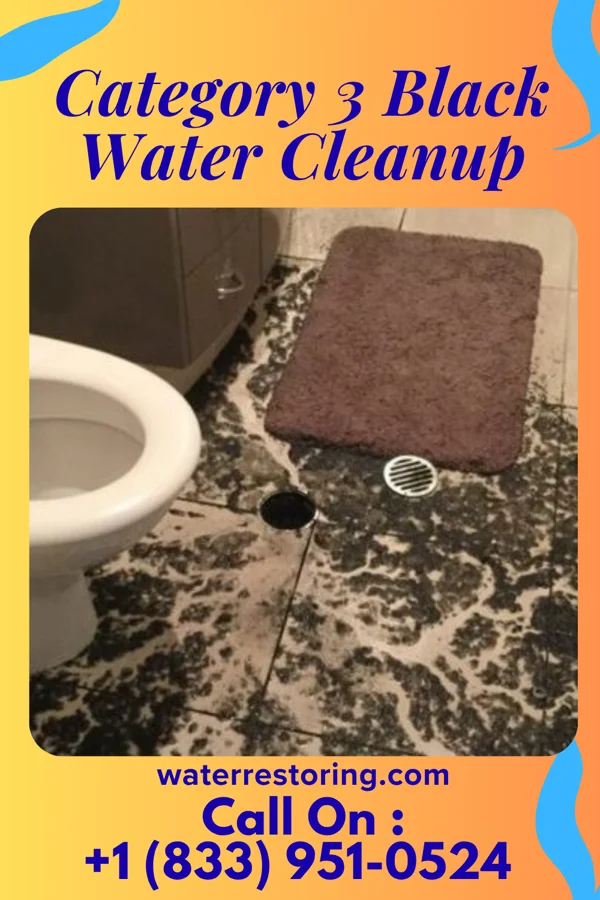 Category 3 Black Water Cleanup in Flossmoor, IL