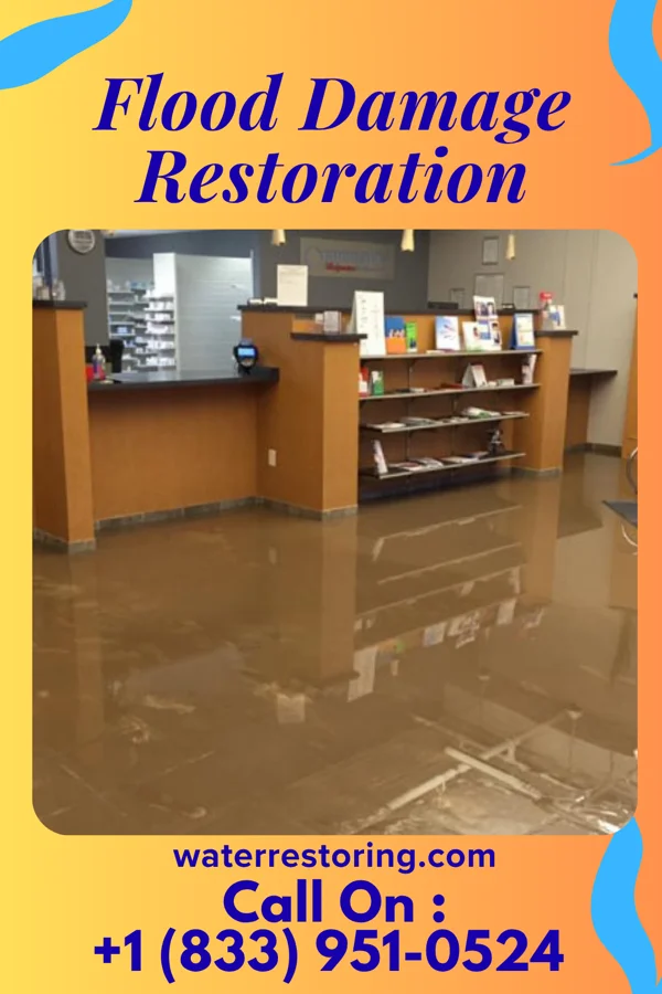 Flood Damage Restoration in Flossmoor, IL