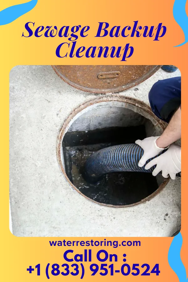 Sewage Backup Cleanup in Flossmoor, IL