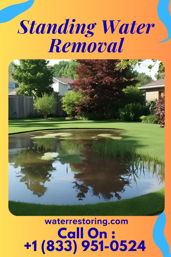 Standing Water Removal in Flossmoor, IL